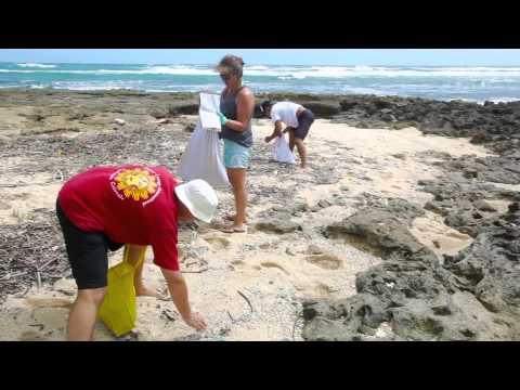 Ocean Plastic: From Beach to Bottle