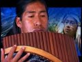 ECUADOR ANDES PASTOR SOLITARIO