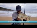 Beach Fishing BASICS: How I Test and Learn! to IMPROVE my RESULTS