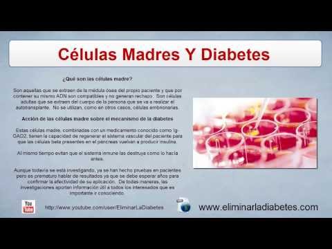 Cura Para La Diabetes Con Celulas Madres - Adios diabetes Cura Para La Diabetes Con Celulas Madres - Adios diabetes