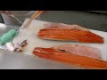 サーモン握り Salmon Sushi