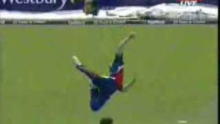 Great Catch
