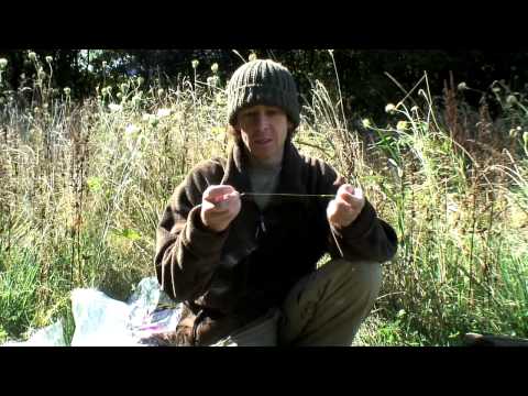 Terry Hearn Talks BBP Razor Points