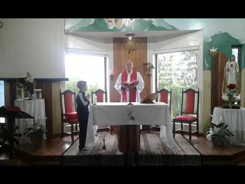 Santa Missa | 12.11.2022 | Sábado | Padre José Alem | ANSPAZ