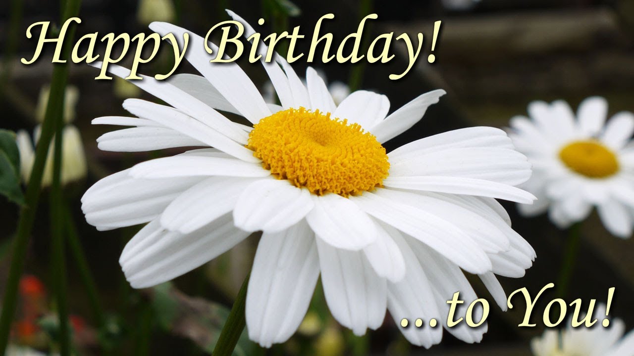 Happy Birthday To You - beautiful flowers pictures with best birthday