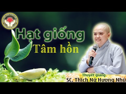 Hạt Giống Tâm Hồn