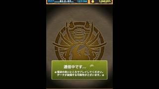 パズドラ『日経トレンディ「2013年ヒット商品ベスト30」2位獲得記念イベント詳情』「女の子ガチャ」12連