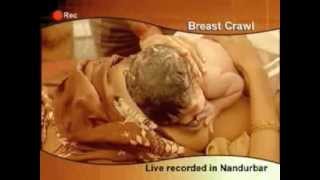 Breast Crawl - Initiation of the Breast Crawl (Unicef) 