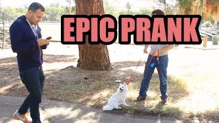 Every Prank Video Ever