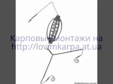 почему плохо клюет карась в сентябре почему плохо клюет карась в сентябре