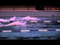 Finswimming Masters by Finspirit