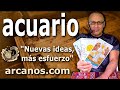 Video Horscopo Semanal ACUARIO  del 17 al 23 Noviembre 2024 (Semana 2024-47) (Lectura del Tarot)