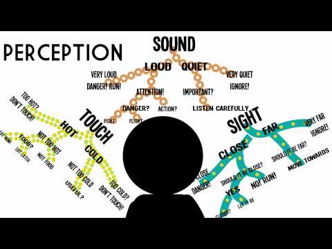 a view on the difference between sensation and perception Exam 2 psychology part 1 sensation and perception learn with flashcards, games, and more — for free difference between the images in the left and right eyes. a view on the difference between sensation and perception Exam 2 psychology part 1 sensation and perception learn with flashcards, games, and more — for free difference between the images in the left and right eyes.