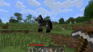 Tudo Sobre Cavalos! - Minecraft Guia (11)