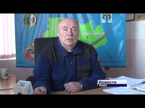 Спасатели Бердска рассказали о том, как разбирали завалы на месте рухнувшего конного клуба Спасатели Бердска рассказали о том, как разбирали завалы на месте рухнувшего конного клуба