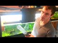 5. Cleaning a Gravel Substrate Planted Tank