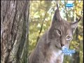l'émission les animaux de la 8 au Parc de Sainte-Croix