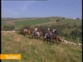 Fieracavalli e turismo equestre Fieracavalli e turismo equestre