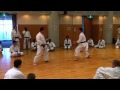 Kagawa Sensei teaching sabaki training