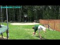 Backflip Basketball Trick Shot