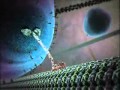 animation of human cell world