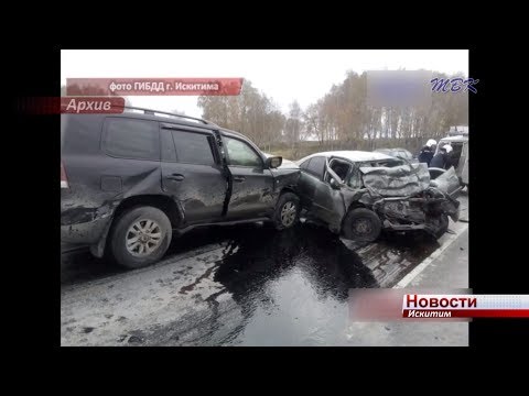 5 пьяных водителей задержали сотрудники ГИБДД в ходе профилактической операции в Искитиме
