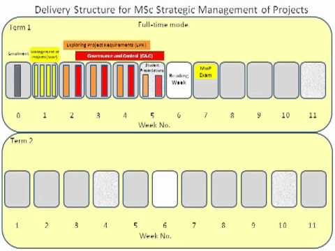 MSc SMP delivery structure