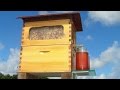 New Invention - Flow: Honey on Tap Directly From your Beehive