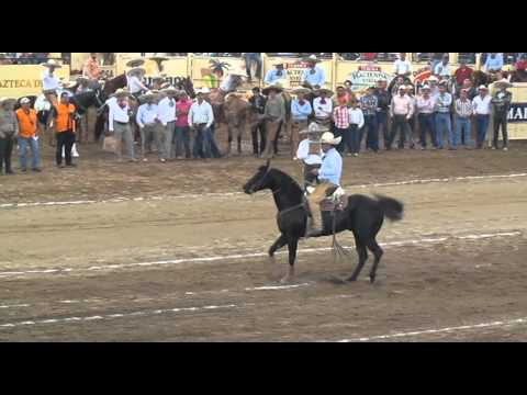 VIDEO DE MUERTES SANGRIENTAS video de muertes sangrientas: