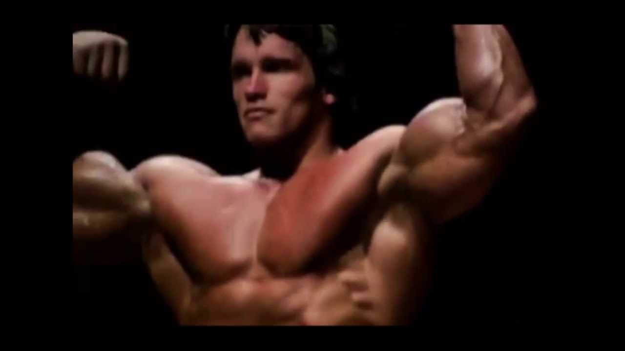 muscle dysmorphia essay muscle dysmorphia essay