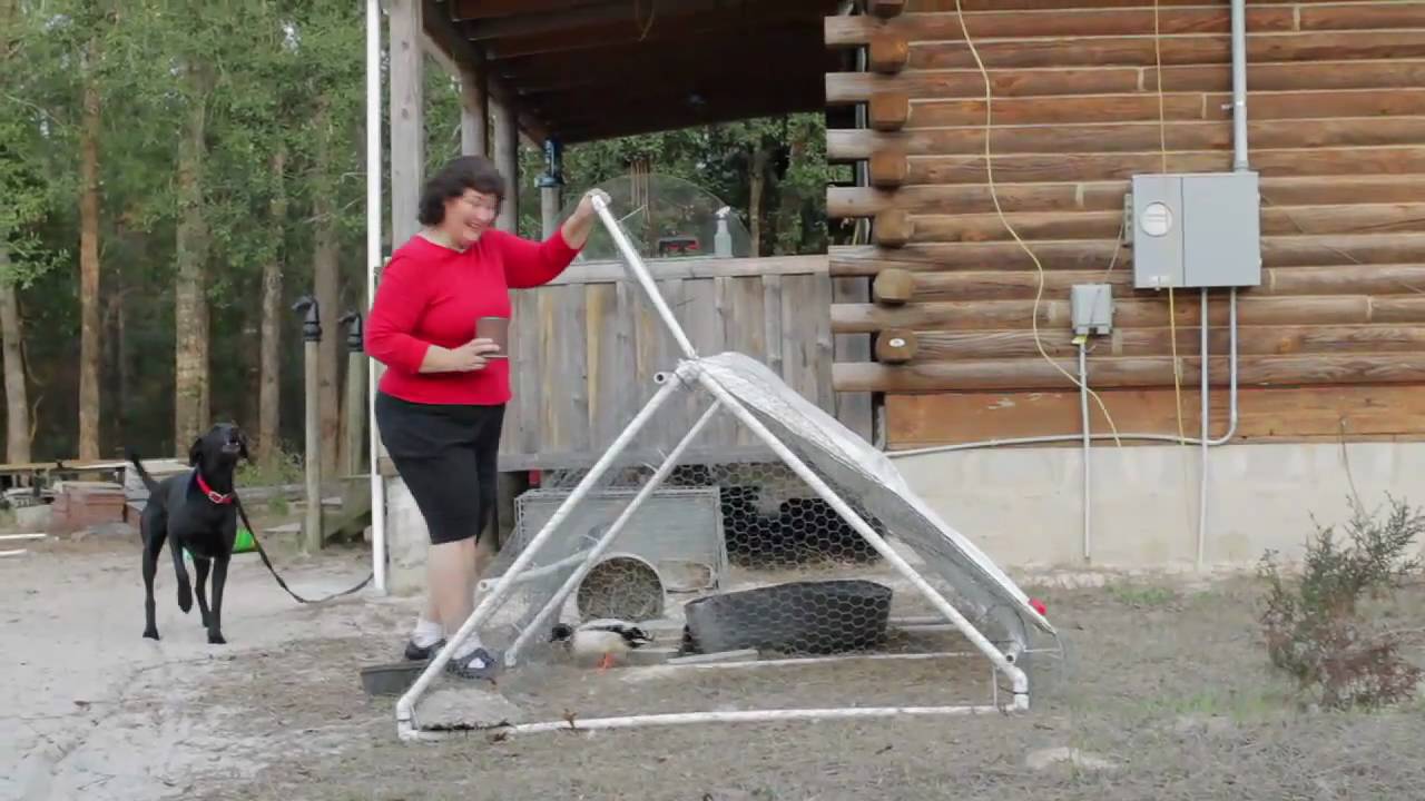 Building A Light Weight Chicken Coop - YouTube