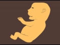 miniature
