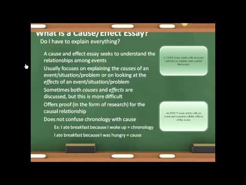 essay mall essay mall