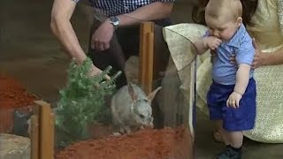 Prince George finally meets a bilby VIDEO