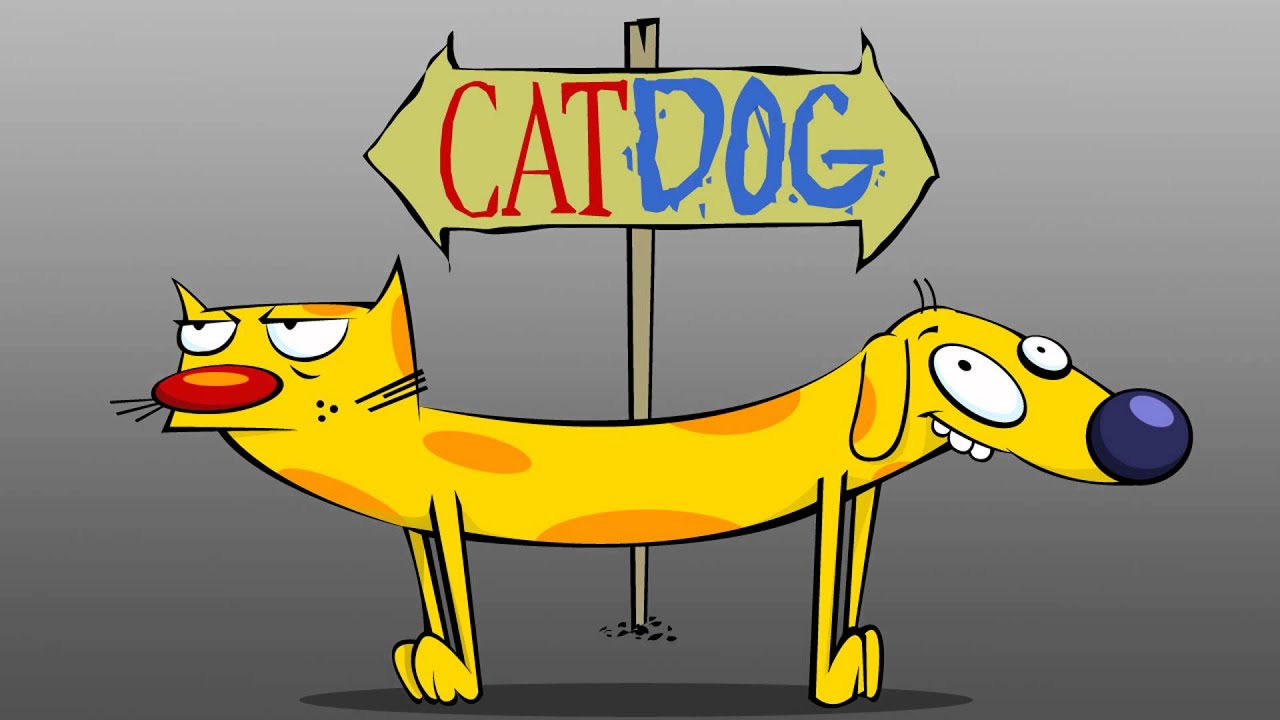 Catdog Theme Song Intro HQ with Lyrics - YouTube