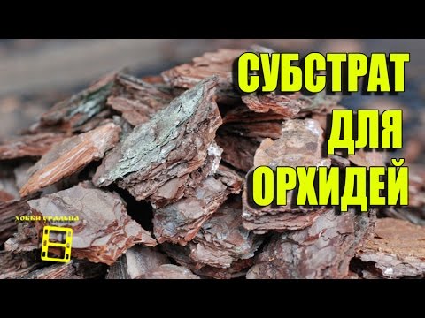 Декупаж бутылки с шампанским к новому году мастер класс Декупаж бутылки с шампанским к новому году