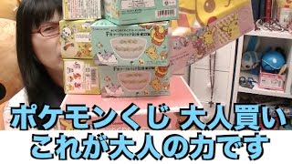 [ポケモン] 一番くじ 大人買い コレが大人の力です [わくわくゲットくじ 2013 ラストワン賞]