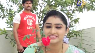 telugu-serials-video-20713-Puttadi Bomma Telugu Serial Episode : 1183, Telecasted on :09/12/2013 telugu-serials-video-20713-Puttadi Bomma Telugu Serial Episode : 1183, Telecasted on :09/12/2013