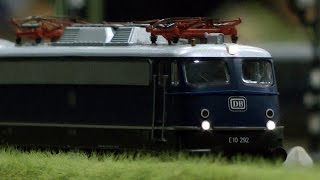 Modelleisenbahn H0 mit Tierpark vom Treinen Club Midden Nederland