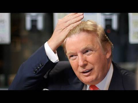 Donald Trumps hair is real : videos