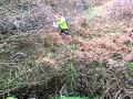 Mini CO perdu dans la nature
