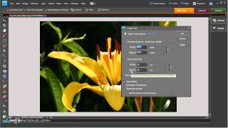 How To Resize An Image In Photoshop Elements 7