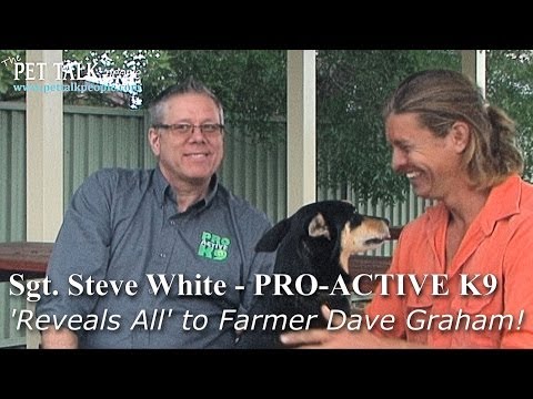 Dogs That WANT To Work - Steve White from ProActive K9