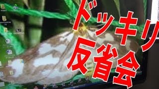 【反省会】ガチどっきり！虫嫌いな奴のPCを虫一面にしてみた