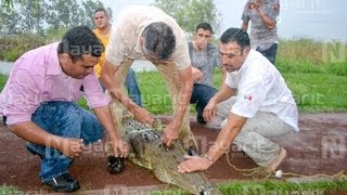 Atrapan cocodrilo en el Parque Ecológico de Tepic