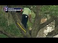 Sergio Garcia climbs a tree to hit one-handed second shot