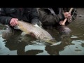 Skagit Master 4 Featuring Tom Larimer--Introducing Dave Pinczkowski