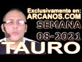 Video Horscopo Semanal TAURO  del 14 al 20 Febrero 2021 (Semana 2021-08) (Lectura del Tarot)