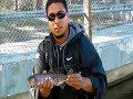 GREAT Trout Fishing at GVL using Lip RipperZ Lures
