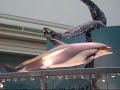 The Smithsonian National Museum of Natural History Part One
